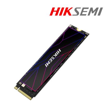 HS-SSD-FUTURE Lite STD 1024G PCIE4 Maroc